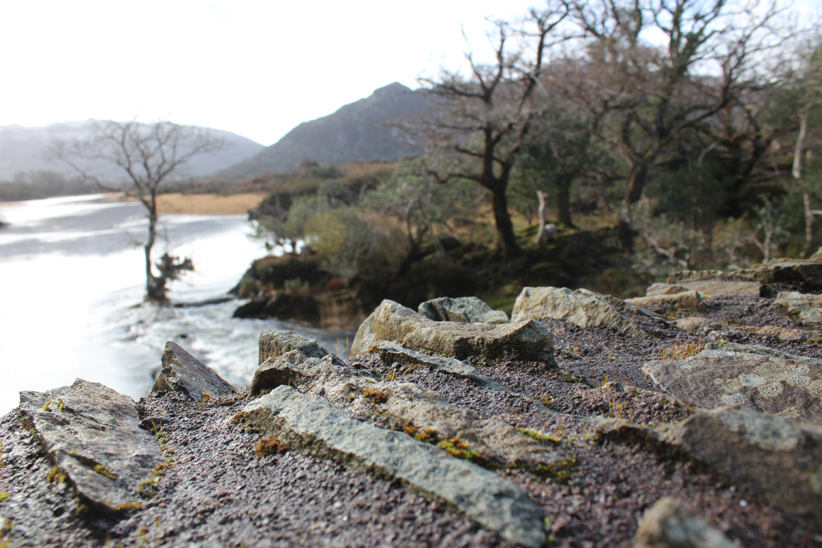 Landscape Killarney National Park