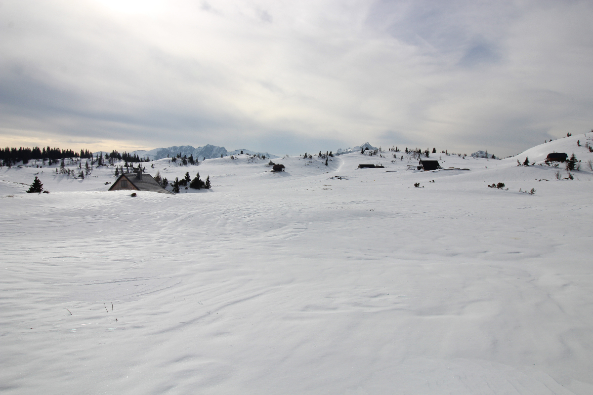 Snowshoe hiking