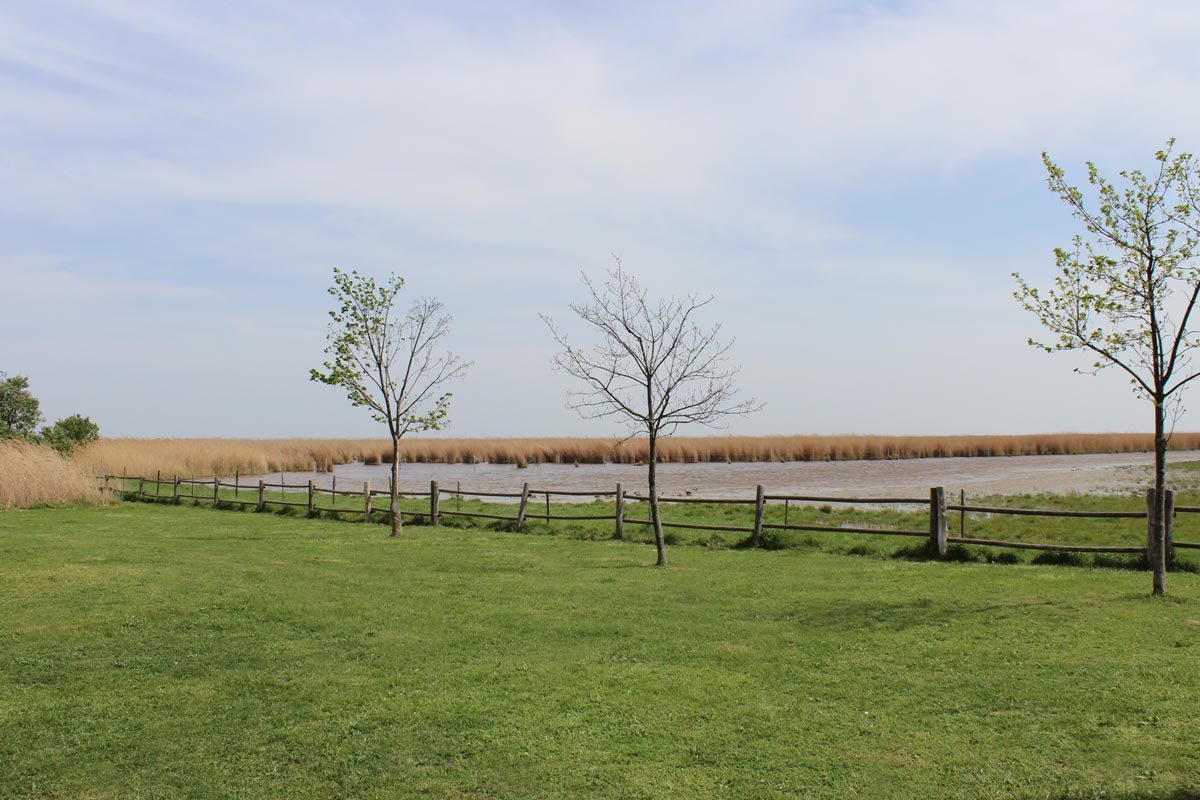 Neusiedler See in Burgenland