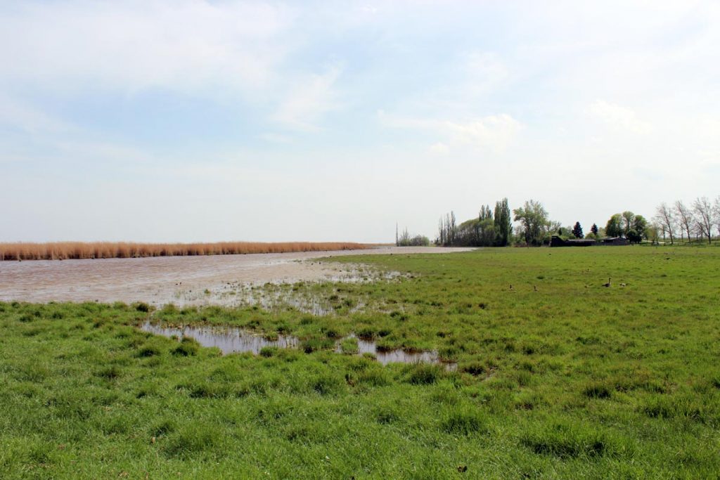 Neusiedler See in Burgenland