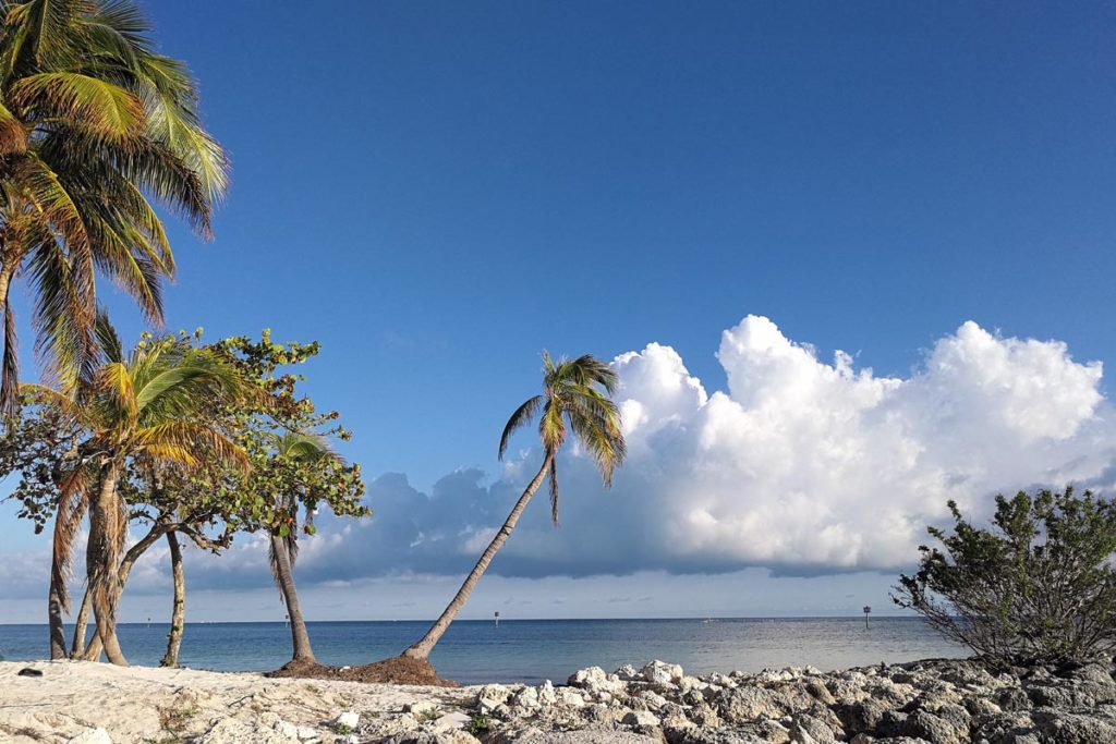 Key West landscape