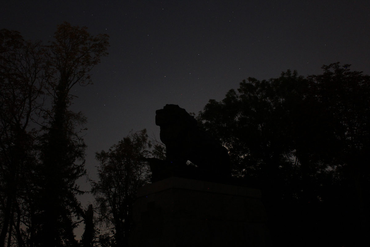Lion at night in Graz