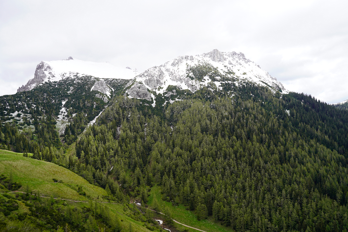 Snow-kissed mountains