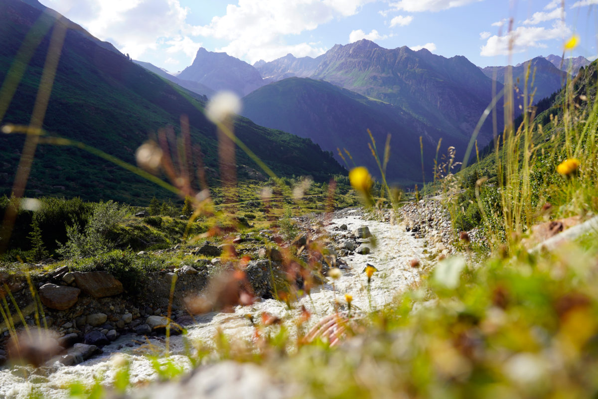 Pitztal nature